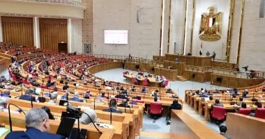 النائب هشام الحصري: القطار الكهربائي يعزز التنمية في القطاع الزراعي ويحقق قفزات نوعية في النقل