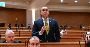 النائب محمد بلتاجي: دعم الصناعة المحلية هو السبيل لتعزيز الاقتصاد وزيادة الصادرات