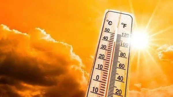 الأرصاد الجوية تكشف عن استمرار الأجواء الصيفية والرطوبة المرتفعة حتى 22 يونيو