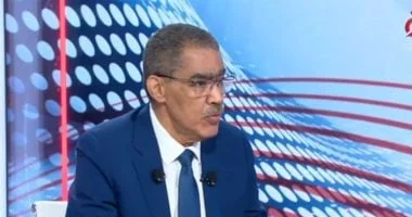 ضياء رشوان: مصر هي الملاذ الأول للفصائل الفلسطينية في العالم العربي