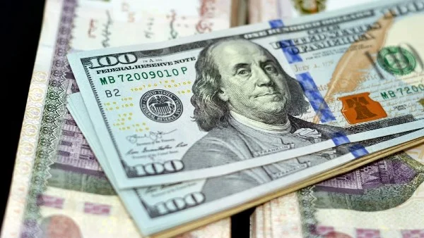 تراجع طفيف في سعر الدولار أمام الجنيه المصري في آخر تعاملات السوق