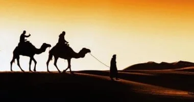 موكب الهجرة النبوية الشريفة ينطلق اليوم بفعاليات احتفالية مميزة بعد صلاة المغرب
