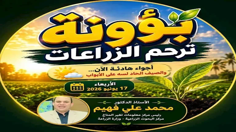 تحذيرات زراعية: ارتفاع الرطوبة ينذر بزيادة نشاط الحشرات.. نصائح هامة للمزارعين