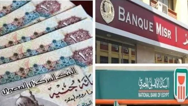 5 أخطاء شائعة يجب تجنبها عند شراء شهادات الادخار في مصر