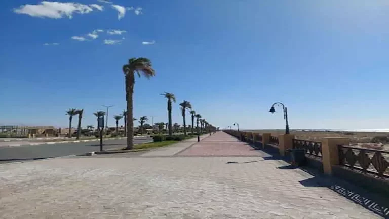 الأرصاد الجوية تحذر من طقس حار ورطب مع شبورة صباحية في مصر حتى الاثنين المقبل