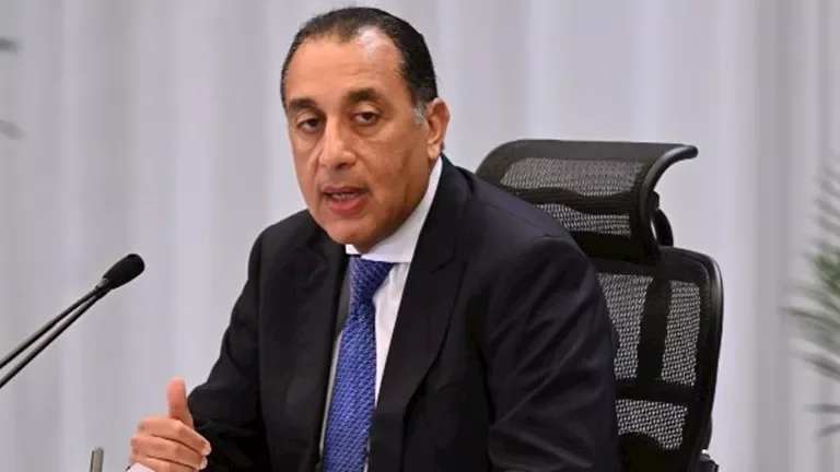مصر والصين تتعاونان في صناعة السيارات: توقيع شراكة استراتيجية لإنتاج سيارات جديدة تحت علامة "نصر