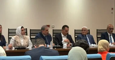 لجنة القوى العاملة بالنواب تناقش أزمة توقف الخدمات التأمينية وتأثيرها على المواطنين
