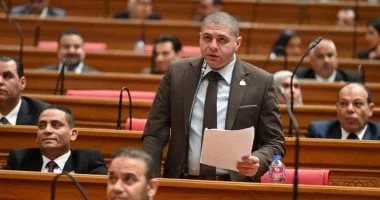 نائب برلماني: السيسي يكشف رؤية استراتيجية لحل الأزمات الجيوسياسية في المنطقة