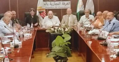 شعبة مخابز الجيزة تدعو لمراجعة تكلفة رغيف الخبز لمواجهة تحديات زيادة مدخلات التشغيل