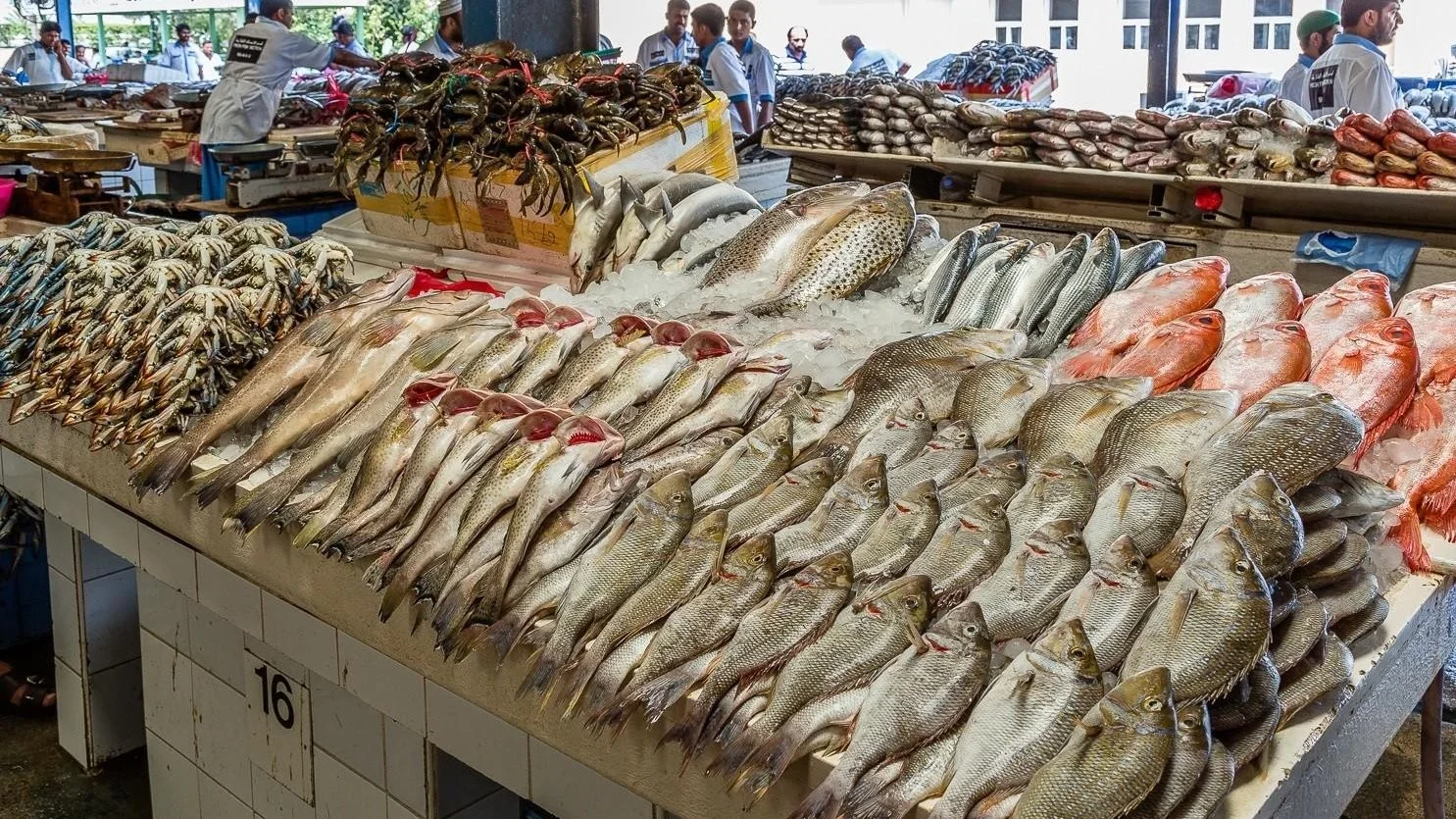 أسعار الأسماك تتقلب: البلطي يتجاوز 100 جنيه والجمبري يشهد انخفاضًا ملحوظًا