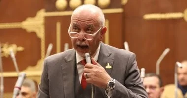 حازم الجندي: رسائل السيسي في قمة السبع تعزز دور مصر الفاعل على الساحة الدولية