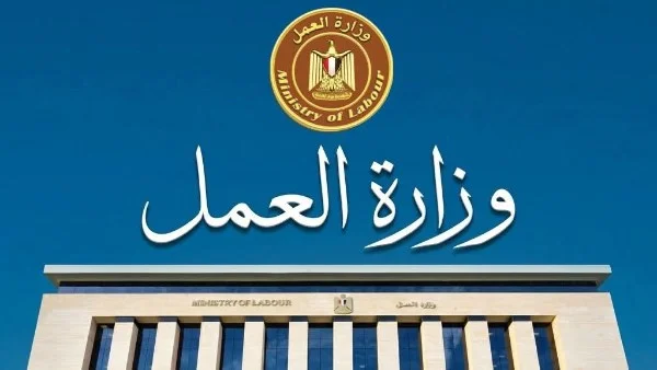 85 فرصة عمل جديدة في الإسماعيلية: تفاصيل ورابط التقديم للوظائف المتاحة