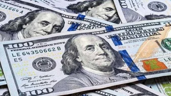 استقرار ملحوظ في سعر الدولار بالسوق الرسمية اليوم: تفاصيل الأسعار بين البنوك