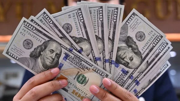 استقرار سعر الدولار في السوق الرسمية اليوم: تفاصيل الأسعار في البنوك المصرية