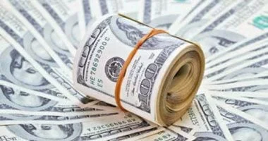استقرار سعر الدولار أمام الجنيه المصري في البنك المركزي خلال إجازة رأس السنة الهجرية