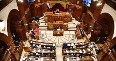 مجلس الشيوخ يناقش إنشاء مجمعات صناعية لتعزيز مشروعات البتروكيماويات في مصر