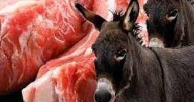 الأرجنتين تواجه أزمة لحوم جديدة: جدل حول تسويق لحوم الحمير والتحقيقات القانونية تتصاعد