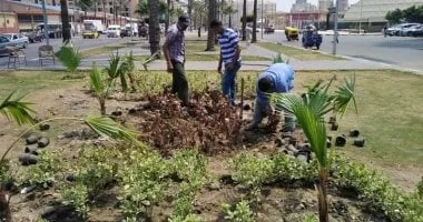 مجلس الوزراء يعلن نجاح المرحلة الرابعة من مبادرة '100 مليون شجرة' بزراعة 200 ألف شجرة جديدة