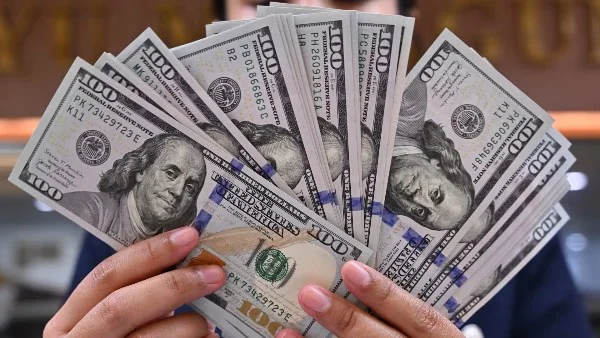 استقرار سعر الدولار مساء اليوم: تفاصيل الأسعار في السوق الرسمية