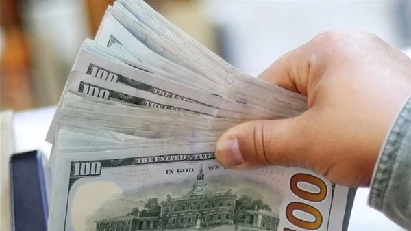 استقرار سعر الدولار عند 49.77 جنيهًا في بداية تعاملات السبت 20 يونيو 2026
