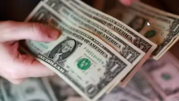 استقرار سعر الدولار عند 49.8 جنيه في تعاملات السبت 20 يونيو 2026
