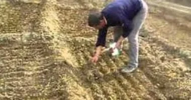 قانون الزراعة الجديد: ضوابط مشددة لتنظيم الاتجار بالتقاوى ومنح صلاحيات رقابية لمأموري الضبط القضائي
