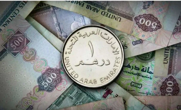 استقرار سعر الدرهم الإماراتي في مصر اليوم السبت 20 يونيو 2026: تعرف على قيمته مقابل الجنيه