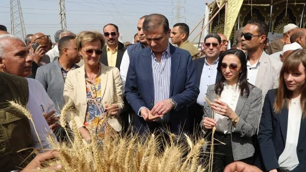 30 يونيو: تحول زراعي تاريخي يعزز الأمن الغذائي في مصر تحت قيادة السيسي