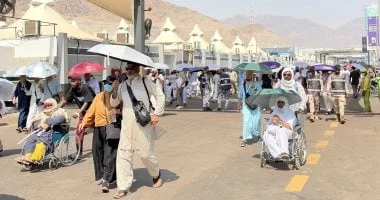 لجنة السياحة الدينية تستعد لموسم الحج والعمرة الجديد من خلال اجتماعات مكثفة مع شركات السياحة