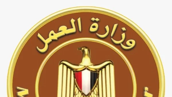 350 فرصة عمل للعمالة الزراعية بالخارج براتب 409 دولارات: تفاصيل وآلية التسجيل