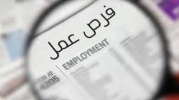 فرص عمل للشباب برواتب تصل إلى 25 ألف جنيه في مصر: تفاصيل الوظائف والشروط المطلوبة