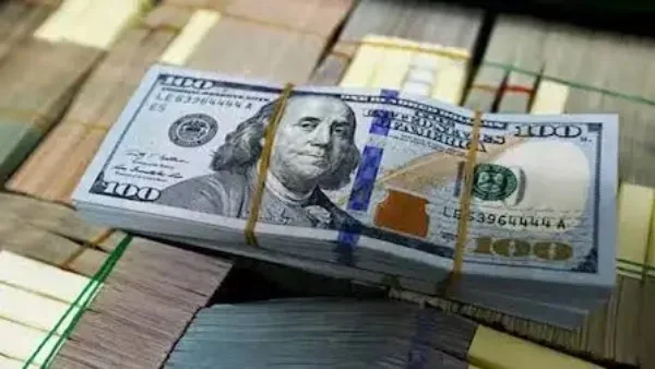 استقرار سعر الدولار مقابل الجنيه المصري في بداية تعاملات الأحد 21 يونيو 2026