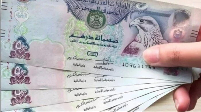 استقرار سعر الدرهم الإماراتي في البنوك المصرية اليوم 21 يونيو 2026