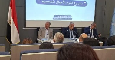 نائب رئيس حقوق الإنسان: تحديات تطبيق قوانين الأسرة تتطلب حواراً مجتمعياً فعالاً