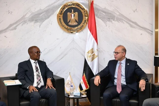 مصر وجنوب إفريقيا تتعاونان لتعزيز الصناعات الحيوية في السيارات والأدوية