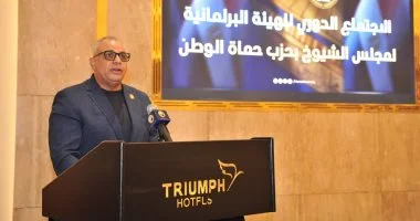 حماة الوطن" بمجلس الشيوخ يضع خطة عمل مستقبلية لتعزيز التواصل مع المواطنين ومناقشة القضايا الحيوية