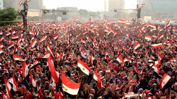 نقيب الفلاحين: ثورة 30 يونيو أحدثت تحولاً جذرياً في الزراعة المصرية وحققت إنجازات غير مسبوقة
