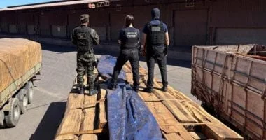 البرازيل تضبط 50 طناً من الكوكايين المخفي في ألواح خشبية في أكبر عملية تهريب بتاريخها