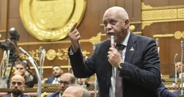مجلس الشيوخ يوافق على اقتراح لإنشاء مقر دائم لقصر ثقافة طنطا ويعزز دعم الثقافة في مصر