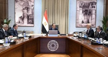 افتتاح أفرع لجامعتي القاهرة والإسكندرية في دول جديدة لتعزيز التعليم العالي المصري