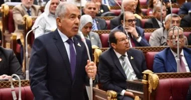 وكيل مجلس الشيوخ يؤكد أهمية تحديث قانون الشركات لمواكبة التحولات الاقتصادية الحديثة