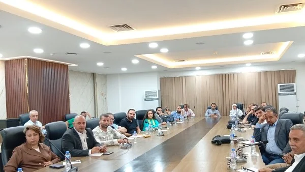 شعبة الكرتون تعلن عن خطة شاملة لإنقاذ الصناعة في مصر: تدريب العمالة والطاقة الشمسية في المقدمة