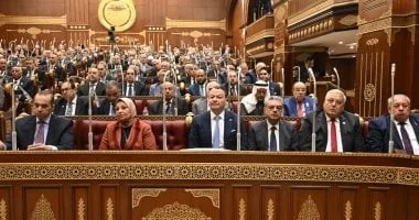 مجلس الشيوخ المصري يدعو الحكومة لتسريع تعديل قانون الشركات لدعم الاقتصاد الوطني