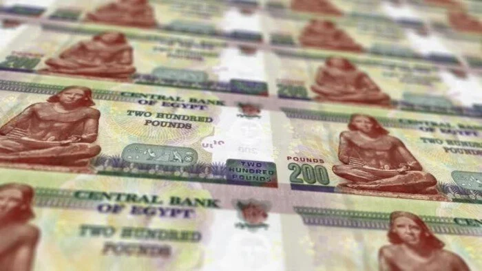 شهادات الادخار في البنوك المصرية: عروض جذابة بعوائد تصل إلى 22%
