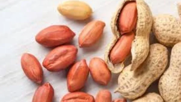 تحذيرات من استخدام صبغة محظورة في تلوين الفول السوداني تثير قلق المستهلكين في بني سويف