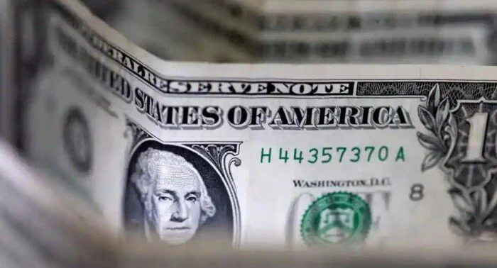 استقرار سعر الدولار أمام الجنيه المصري في ختام تعاملات 22 يونيو 2026
