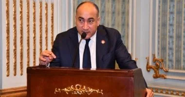 النائب عمرو رشاد يدعو لإنشاء مستشفى حكومي جديد في الجيزة لتلبية احتياجات السكان المتزايدة