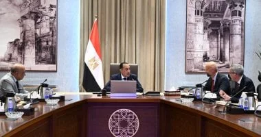 مدبولي يناقش مع مسئولى "سكاتك" النرويجية مستقبل مشروعات الطاقة المتجددة في مصر