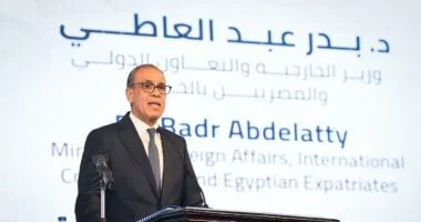 وزير الخارجية المصري يؤكد في اجتماع وزراء الخارجية العرب على أهمية دعم السلام والأمن الإقليمي