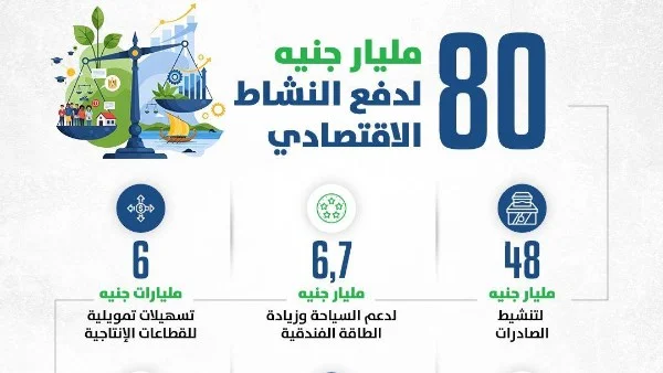 80 مليار جنيه لدعم القطاع الخاص وريادة الأعمال في موازنة 2026-2027